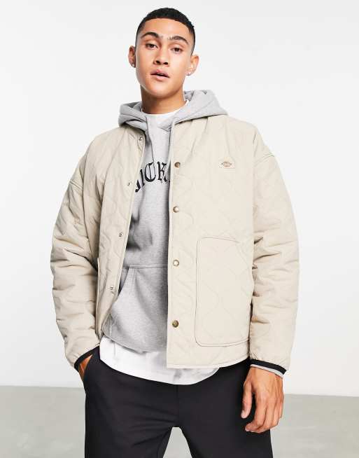 Dickies Thorsby liner jacket in beige