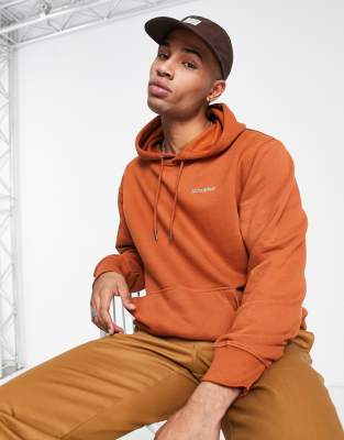 Dickies Uniontown hoodie in brown