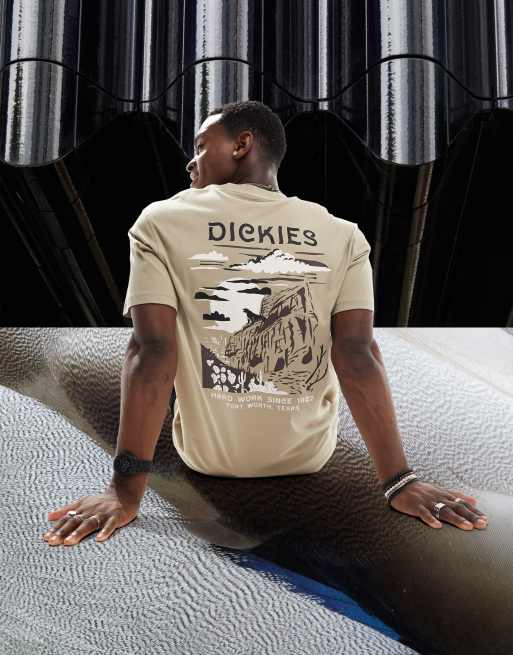 Dickies Unisex eagle point mountain back print t shirt in sand