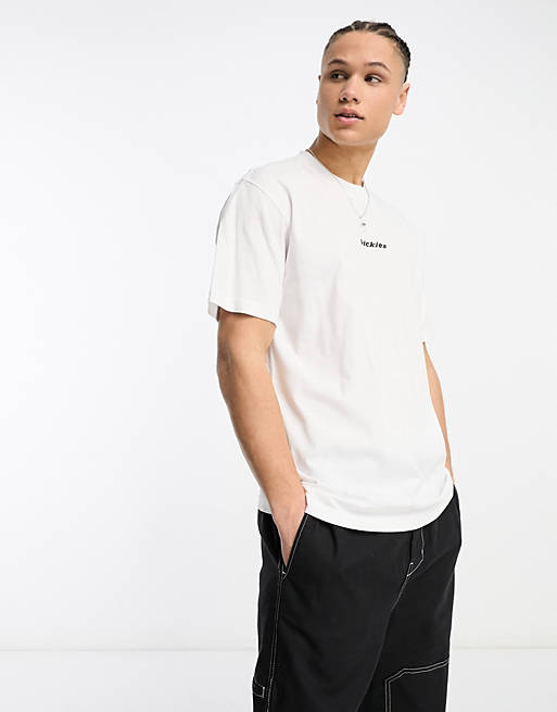 Dickies valley falls central logo t-shirt in white | ASOS