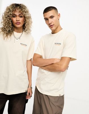 Dickies westmoreland t-shirt with back print in stone - ASOS Price Checker