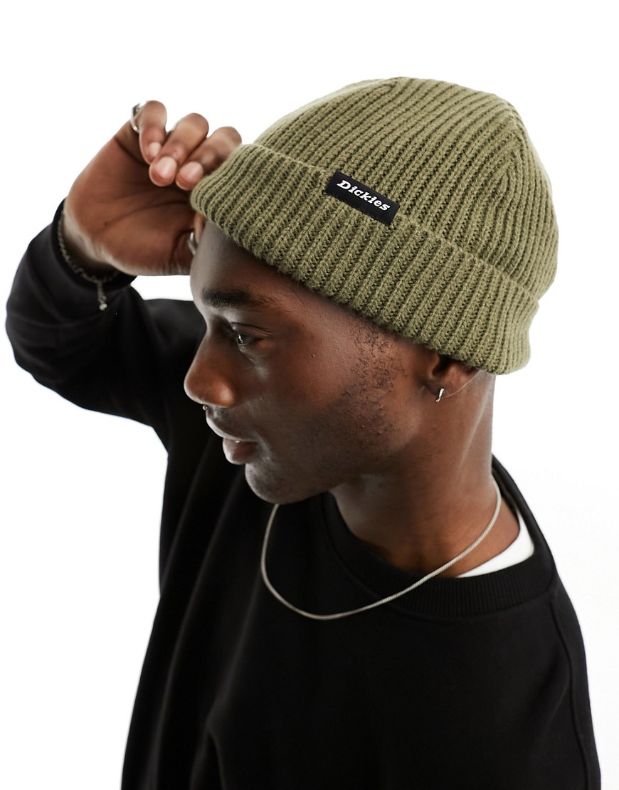 Dickies woodworth beanie in green