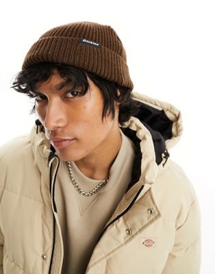 Dickies woodworth beanie in brown - ASOS Price Checker