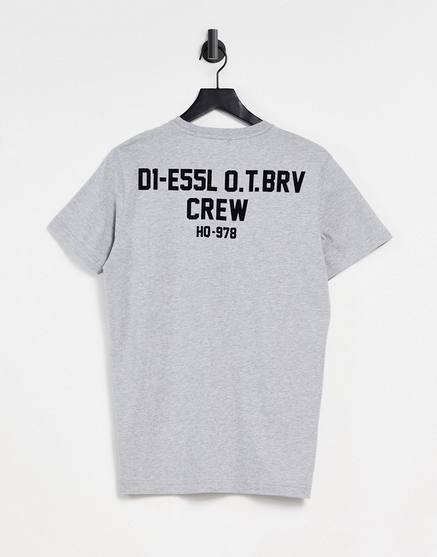 Diesel T-Diegos-N26 flocked circle logo t-shirt with back print in grey