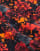 Thumbnail 4 van 4
