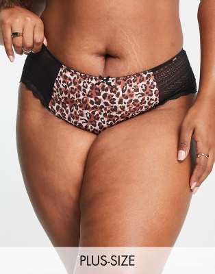 Dorina Curve Zena nylon blend hipster briefs with lace trim in animal print 