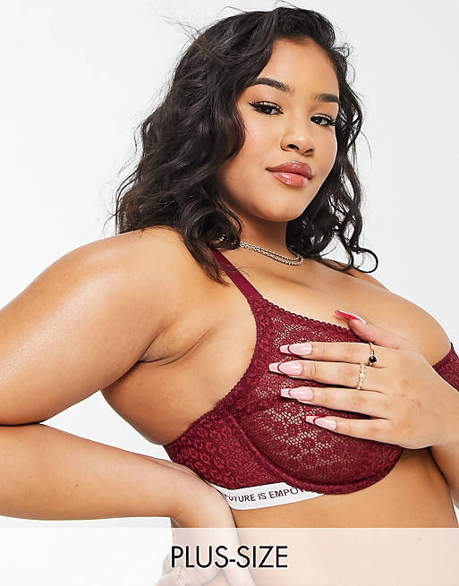 Dorina Plus Size Rally non padded high apex animal lace bra with logo elastic detail in burgundy