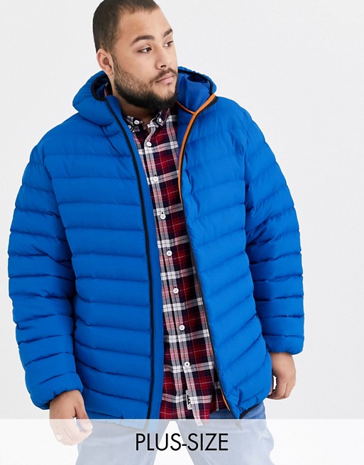 Duke king size hooded padded jacket in bright blue