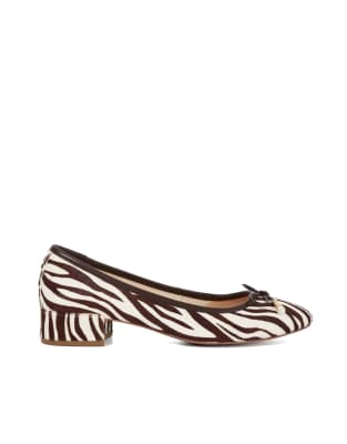  Amazing in zebra