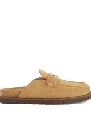  Goldens mules in sand