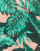Thumbnail 3 van 4