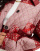 Thumbnail 4 von 4