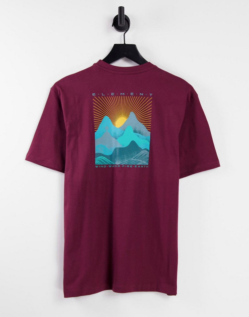 Element Lahotan back print t-shirt in burgundy-Red
