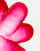 Thumbnail 3 von 4
