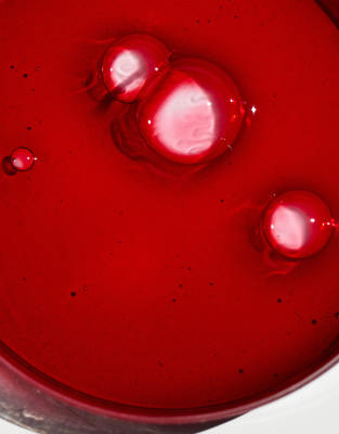 E.l.f. Sheer For It Blush Tint - Left On Red In Red