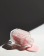Thumbnail 4 of 4
