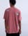 Thumbnail 5 van 5