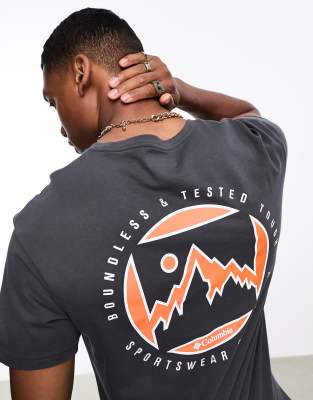 Columbia Brice Creek t-shirt in black Exclusive to ASOS - ASOS Price Checker