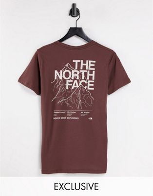 Femme Exclusivité  - The North Face - T-shirt à imprimé montagne - Marron