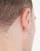 Thumbnail 3 van 3