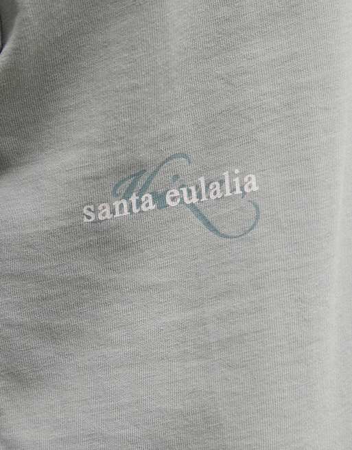 Faded Store 100% cotton t-shirt with ibiza hills back print in sage green, 4 of 5