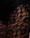 Miniatura 3 de 5