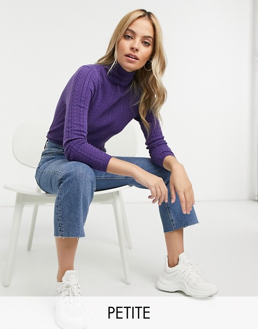 Fashion Union Petite high neck jumper in cable knit