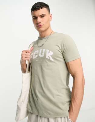 FCUK varsity logo t-shirt in sage & white