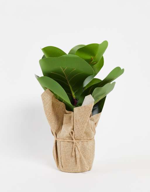 Ficus artificial de TYPO