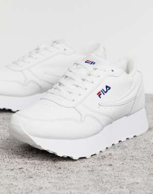 fila zeppa