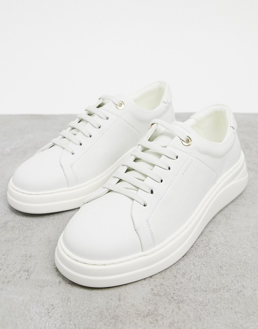 Fiorelli anouk leather lace up trainers in cream