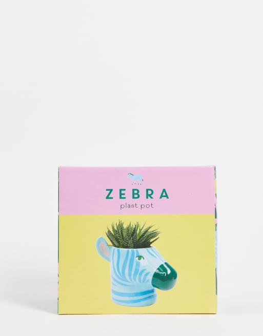 Fizz Creations zebra plant pot