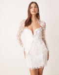 [For Love & Lemons] For Love & Lemons Bluebell embroidered organza mini dress in white 2XS White