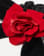 Thumbnail 2 von 3