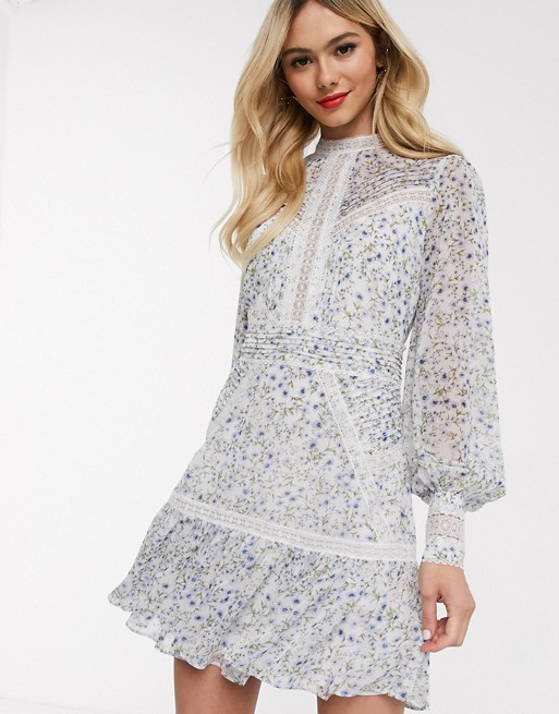 Forever New lace insert mini dress in lilac ditsy print