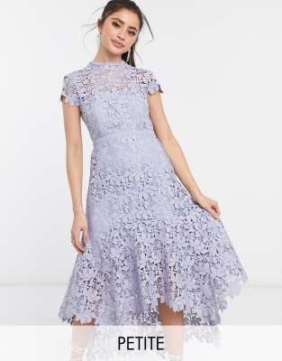 forever new lace frill skater dress