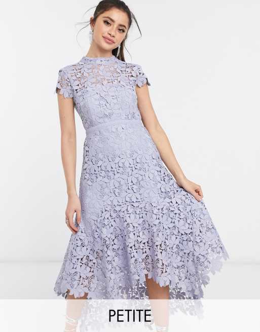 Asos petite lace clearance dress