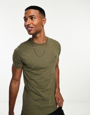 French Connection crew neck t-shirt in khaki
