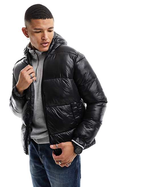 Jacket shiny 2025 Jacket shiny 2025
