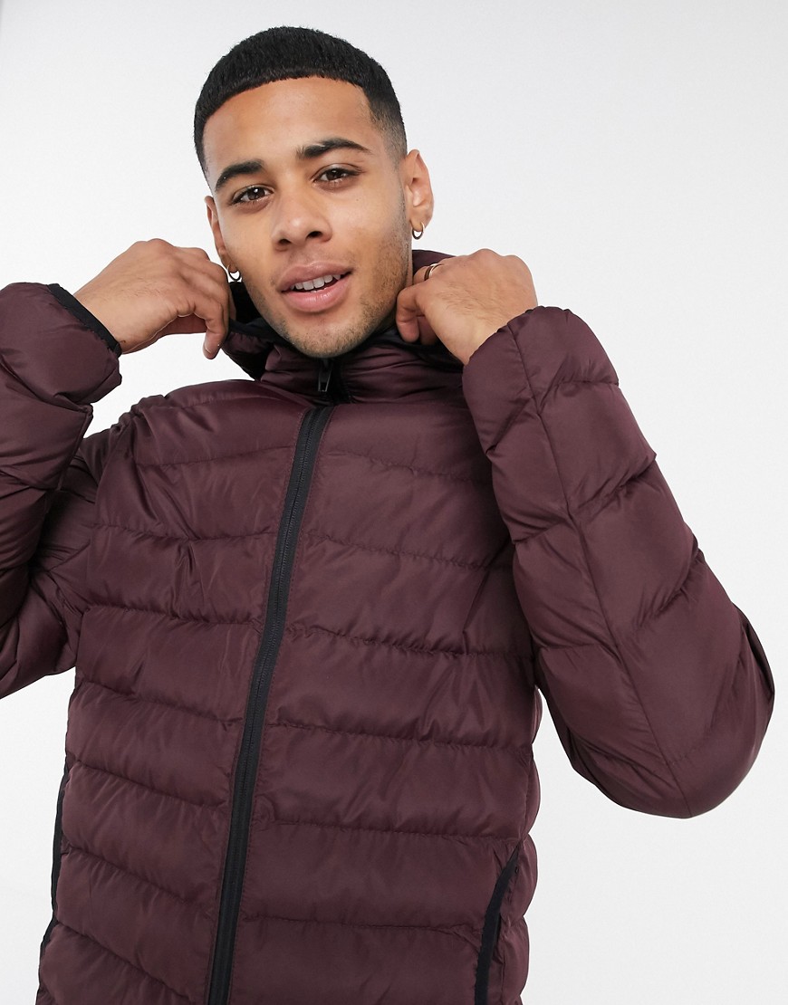 French Connection Padded Hooded Jacket In Burgundy-red