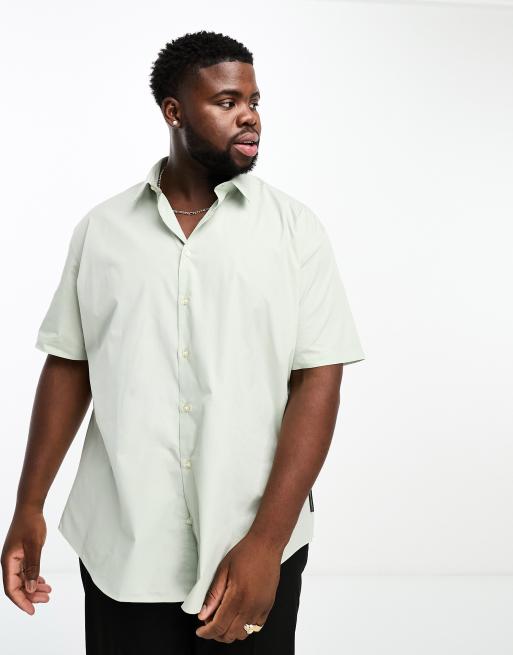 French Connection Plus - Camicia elegante a maniche corte color salvia