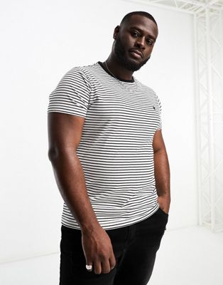 French Connection Plus feeder stripe t-shirt in white & navy