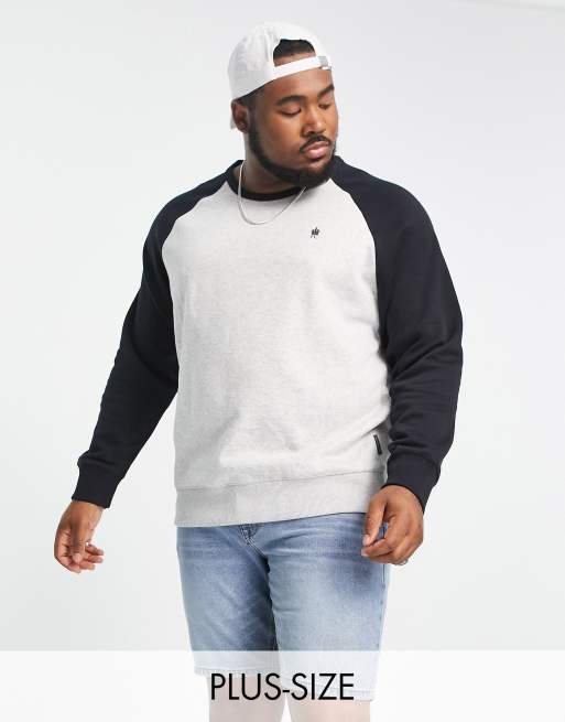 Plus Raglan Sweatshirt