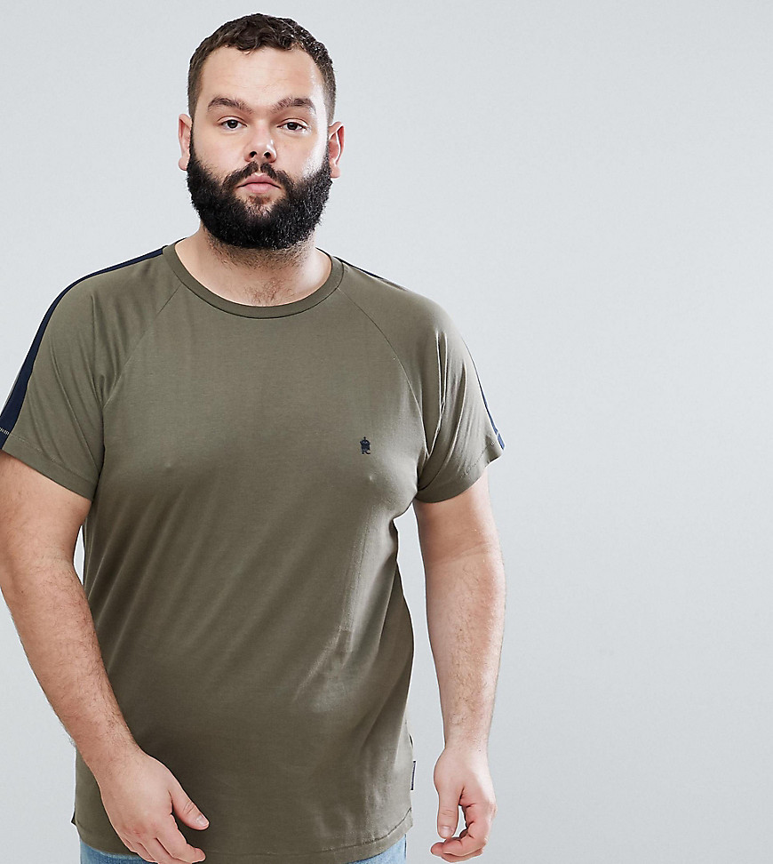 French Connection PLUS – Randig t-shirt med kontrasterande axlar-Grön