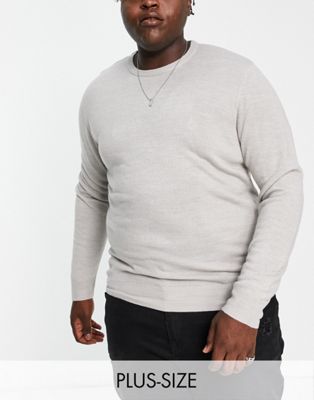 Plus soft touch crew neck sweater in light gray