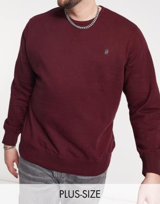 French Connection Plus sweatshirt with logo in burgundy-Red