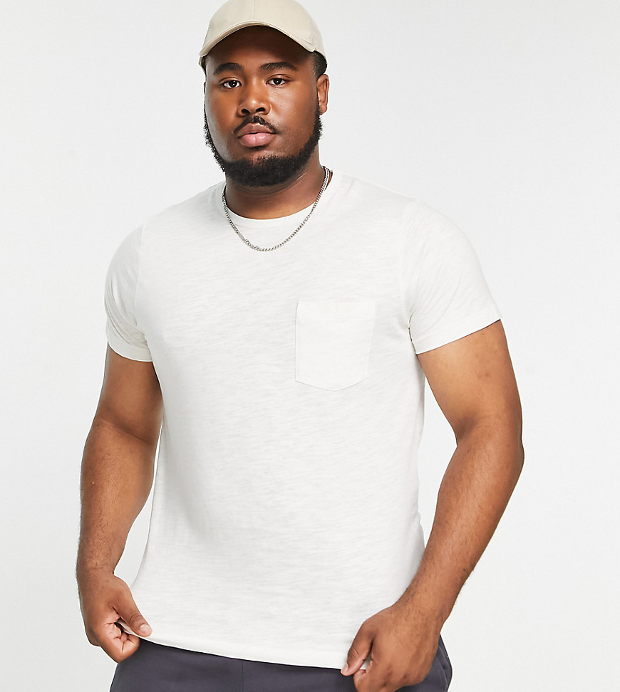 French Connection Plus textured t-shirt in ecru-White