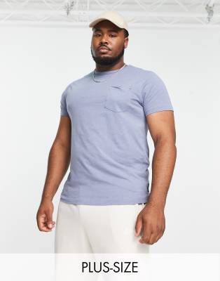 French Connection Plus textured t-shirt in light blue - ASOS Price Checker