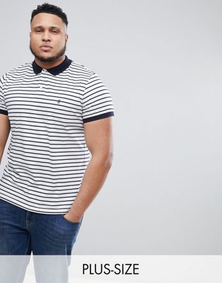 French Connection PLUS Thin Stripe Polo Shirt