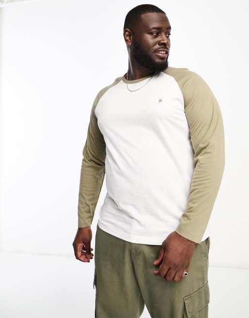French Connection Plus - Top à manches raglan longues - Blanc/kaki clair